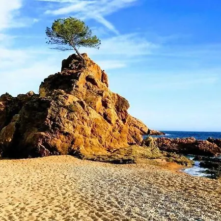 Nautic 2 - A 2 Min De La Playa, A/a Y Parking