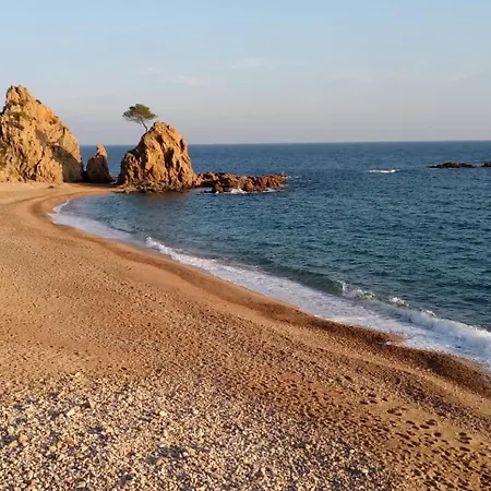 Nautic 2 - A 2 Min De La Playa, A/a Y Parking Daire Tossa de Mar